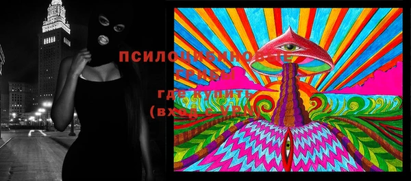 бутират Горно-Алтайск