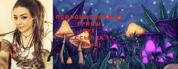 соль ск Горнозаводск