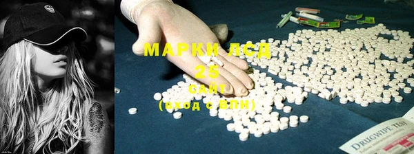 PSILOCYBIN Вяземский
