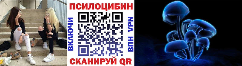 закладки  Мезень  дарк нет официальный сайт  Галлюциногенные грибы мухоморы 